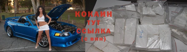 амф Кодинск